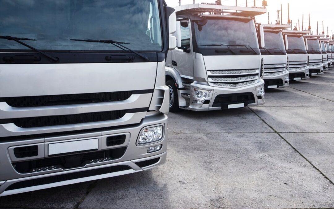 Truck company may be liable if your accident was due to an improper load.